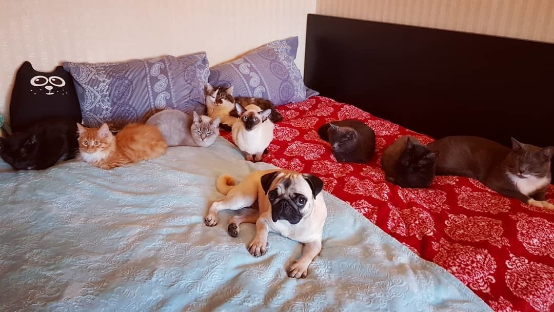 Источник: pikabu.ru