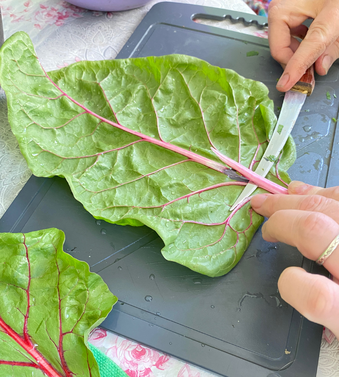 Это я стебель у мангольда обрезаю. Фото автора статьи 