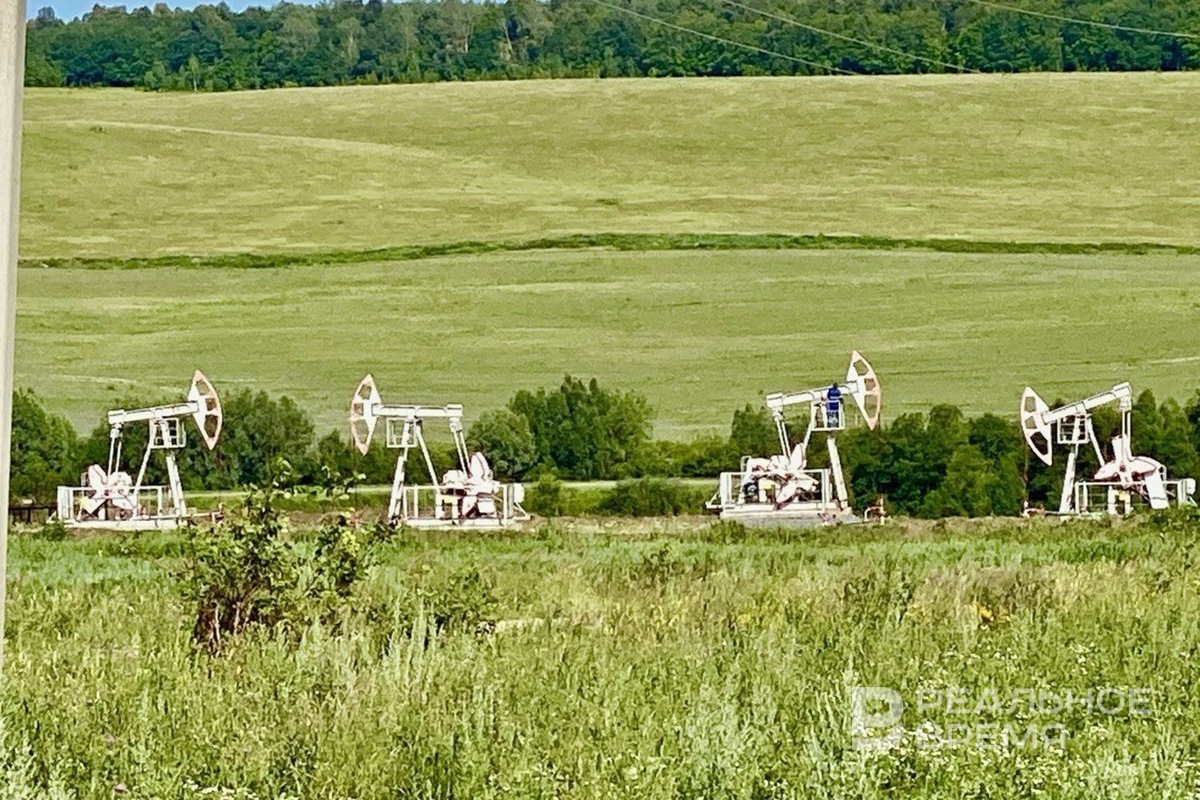   Реальное время / realnoevremya.ru