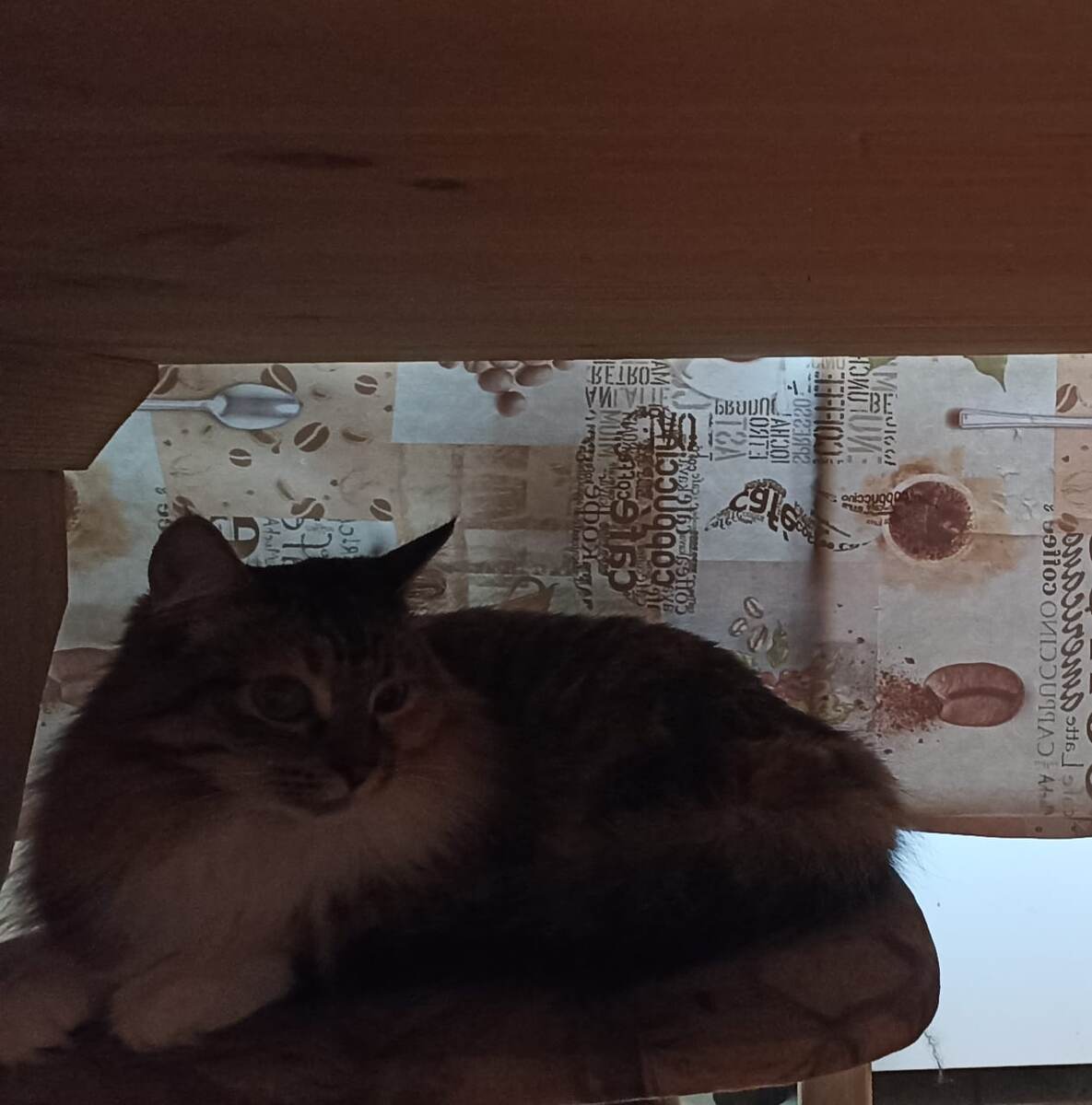 Заныкалась)) 