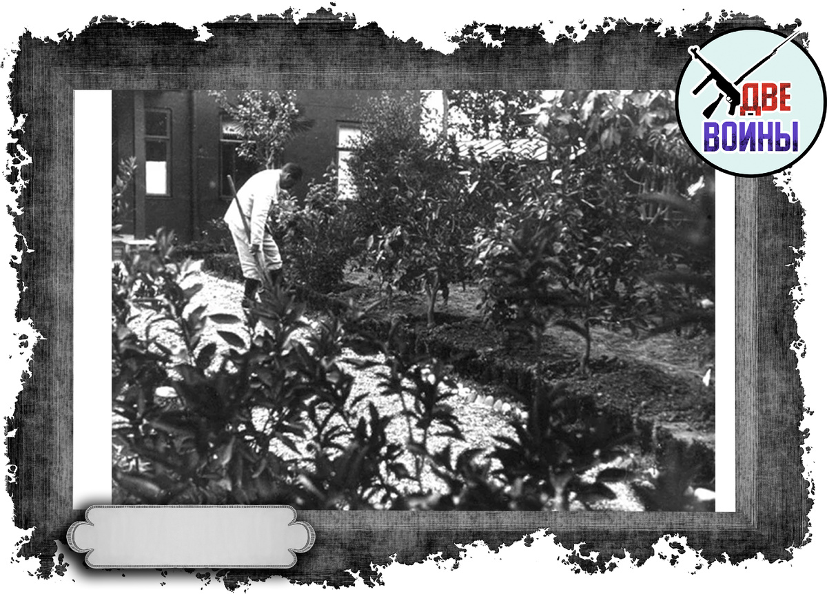 Сталин работает в саду. Фото в открытом доступе.