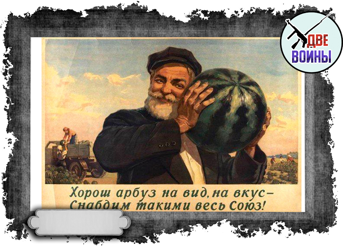 Фото в свободном доступе.