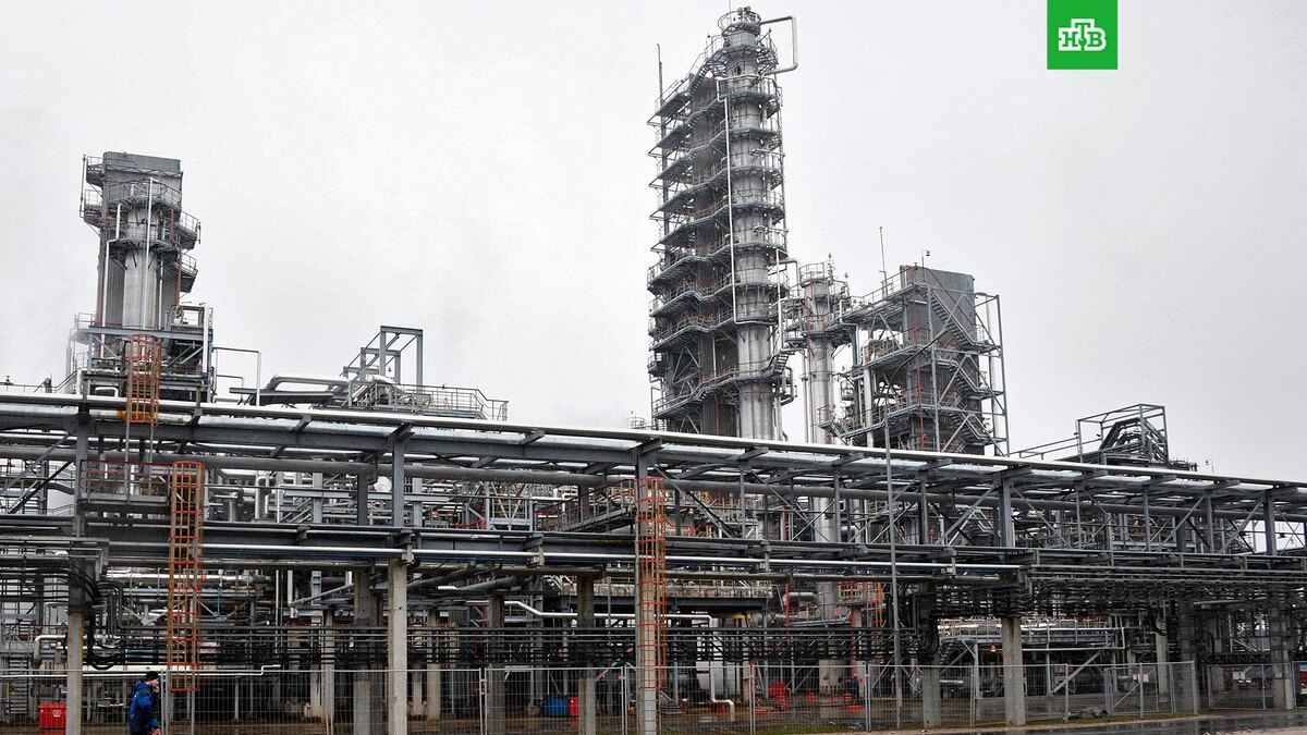    Фото: РИА Новости © 2025, Виктор Толочко