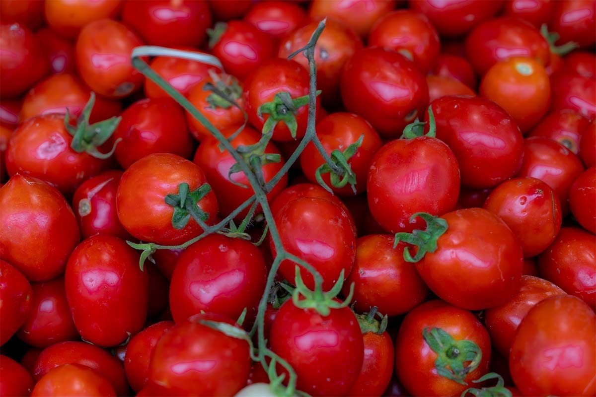 Фото unsplash.com