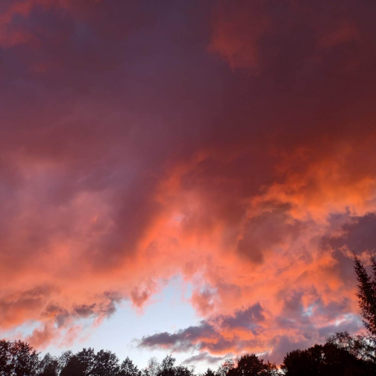 Фото автора. Закат на даче