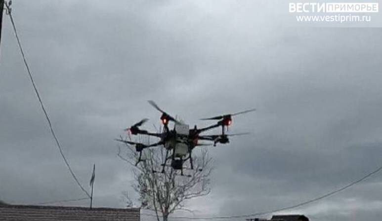    Источник фото: