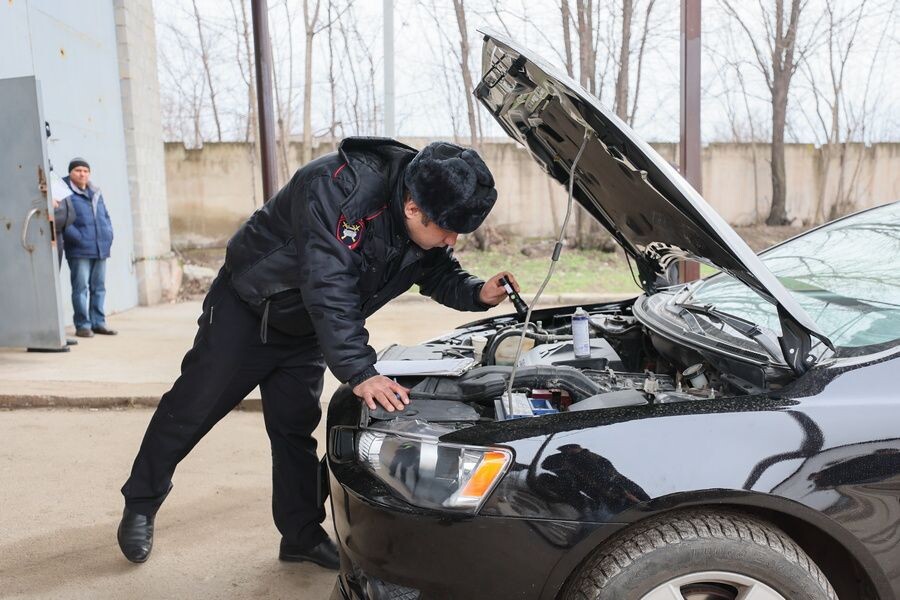     / Источник: © Дмитрий Ягодкин/ТАСС