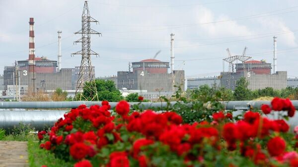    © РИА Новости . Таисия Воронцова