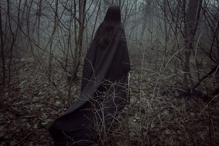 Изображение взято из открытых источников интернета. 