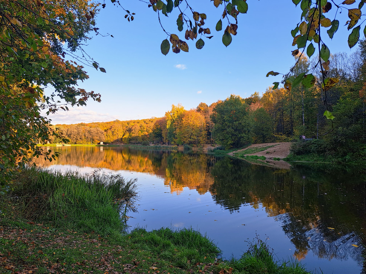 В Красной книге Алтайского края содержится информация о 164 видах животных.  Фото: ФедералПресс / Вера Романескул