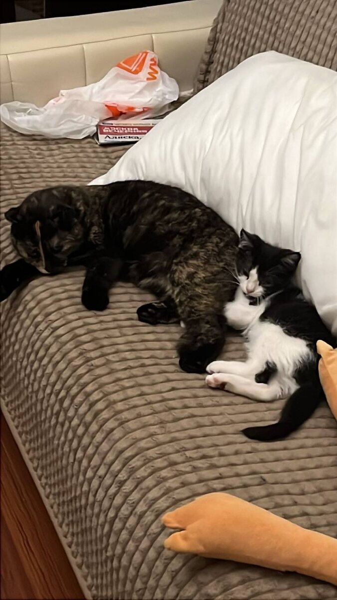 Муся и Скай (Юлий)