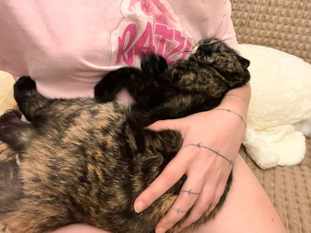 Муся балдеет на руках у хозяйки