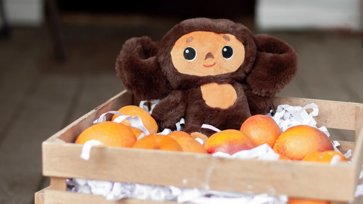    Фото: Risha55 /Shutterstock/Fotodom