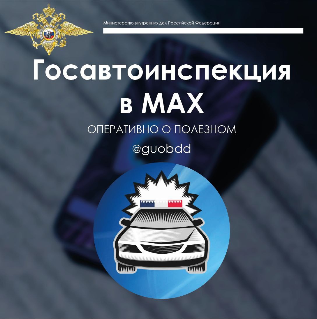    Фото: Telegram-канал «Ирина Волк»