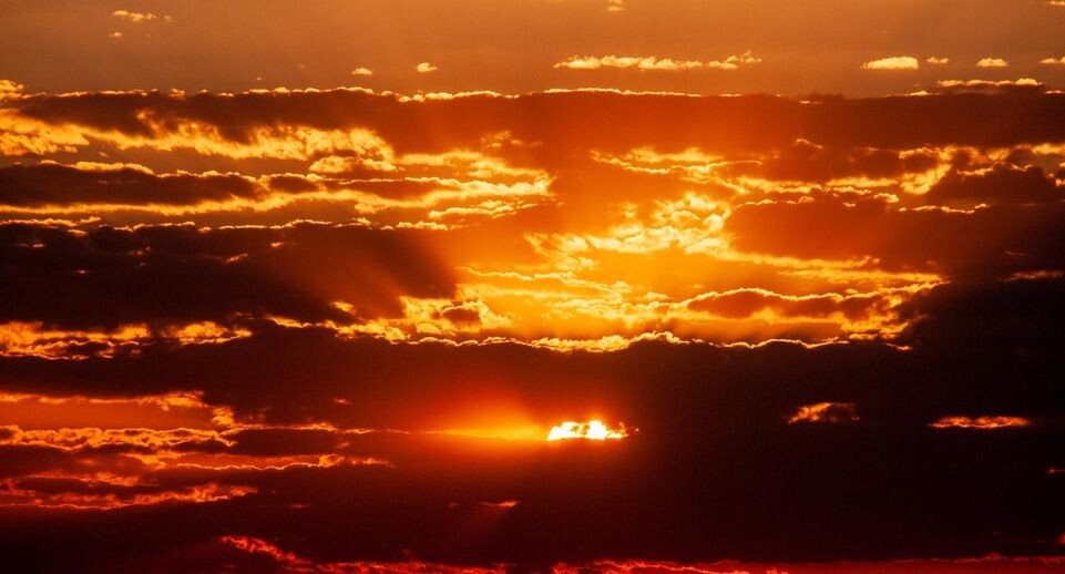    Svetlana Vozmilova/Global Look Press / www.globallookpress.com