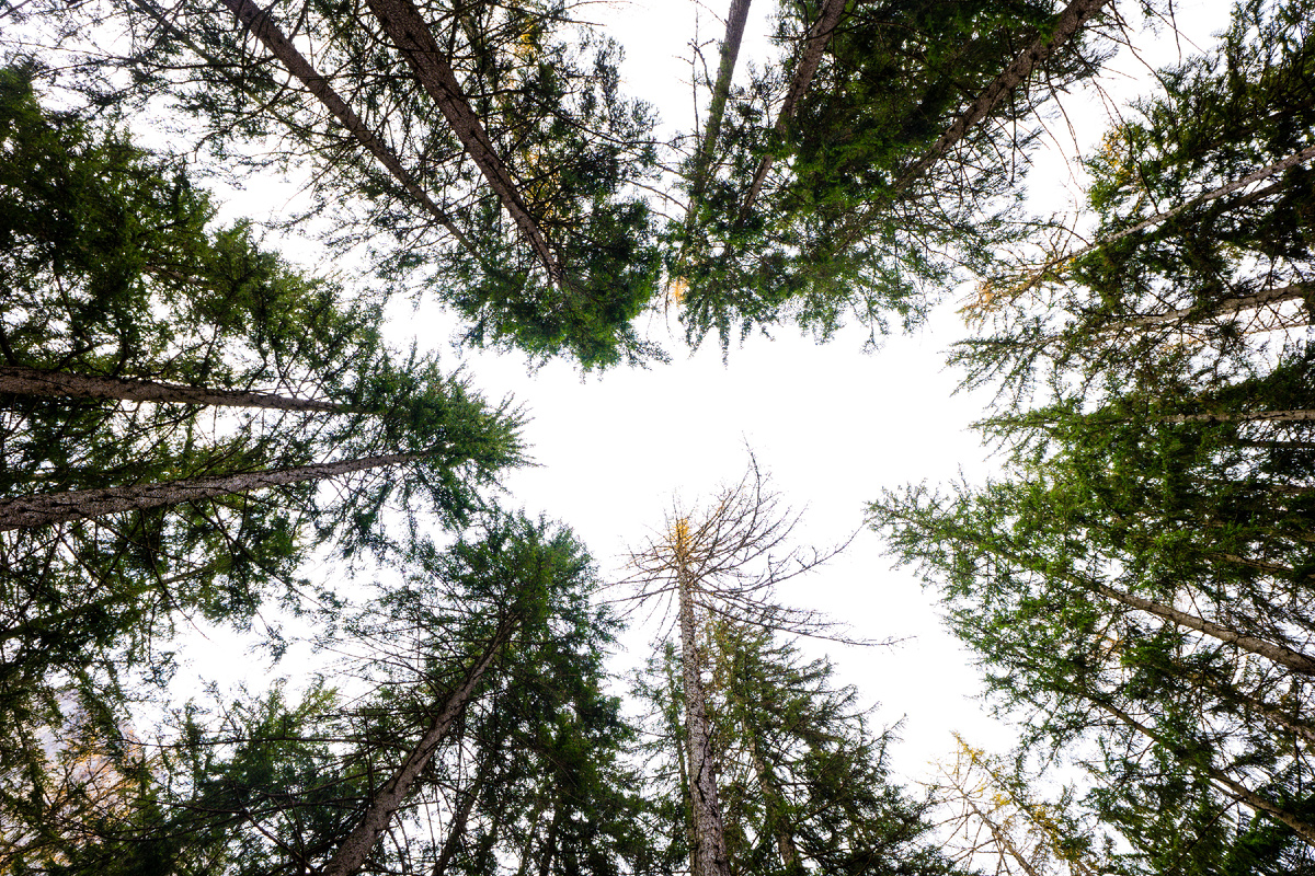 Источник: freepik.com, автор: wirestock.   