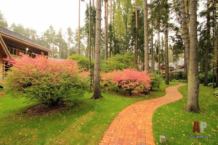 Ландшафтный дизайн на лесном участке