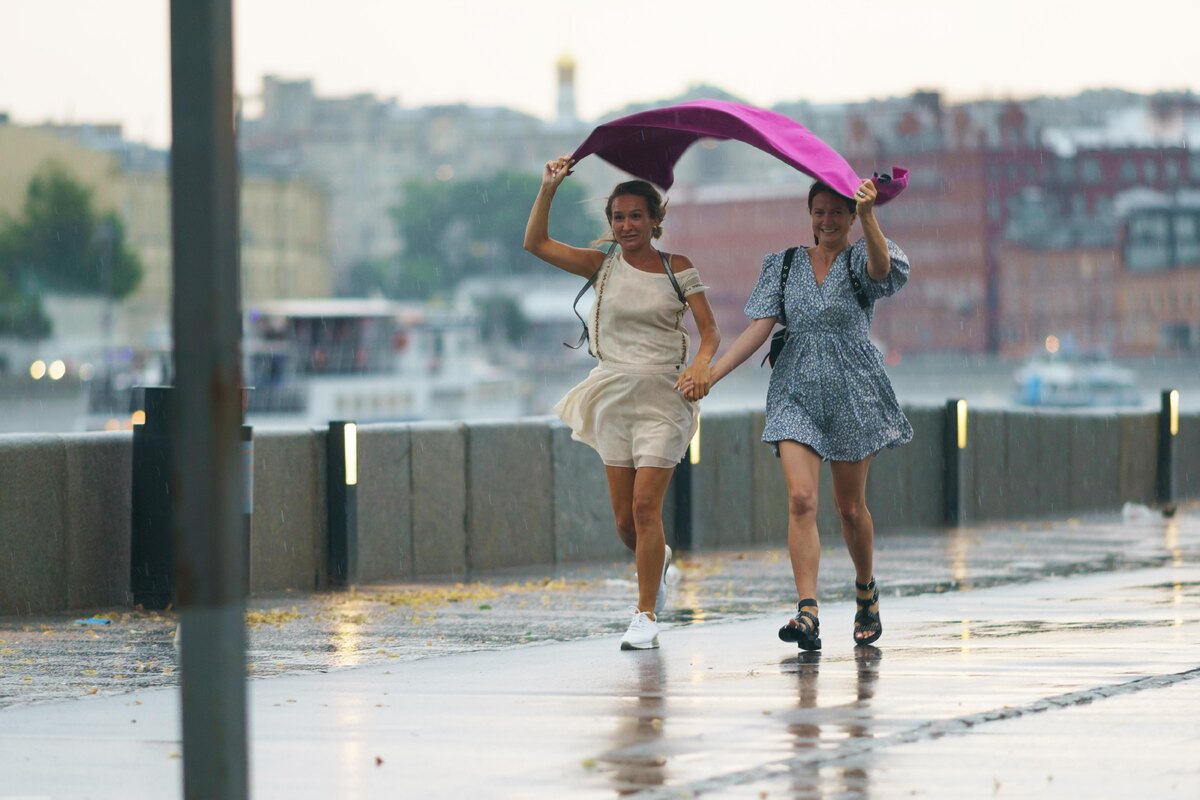    фото:YuryKara / Shutterstock.com