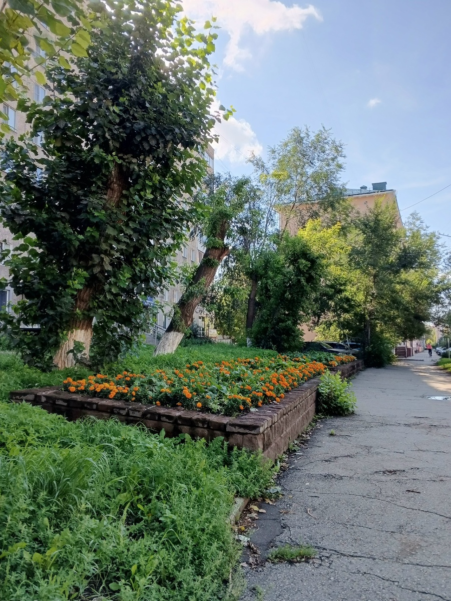 Утро) Улица