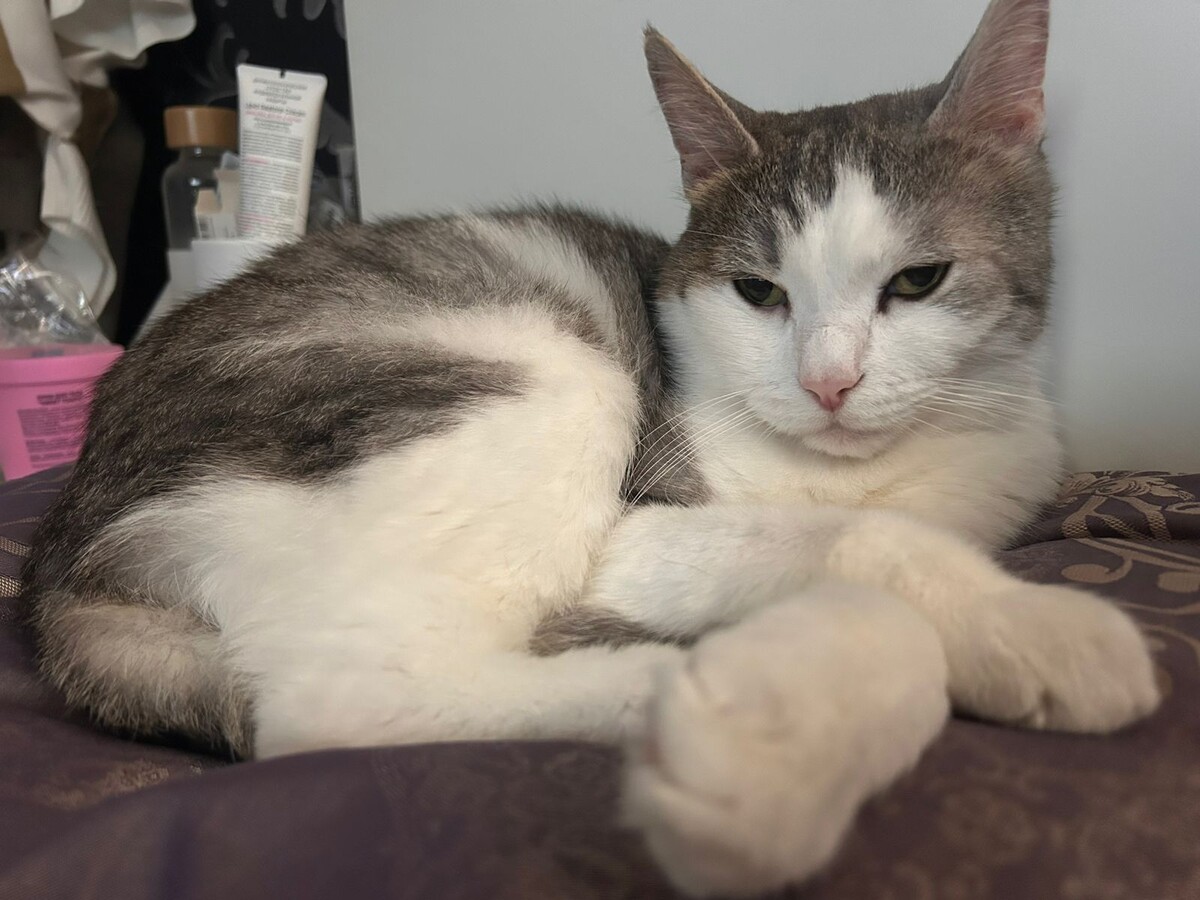 Миша никто и ничто из состояния покоя не выведет