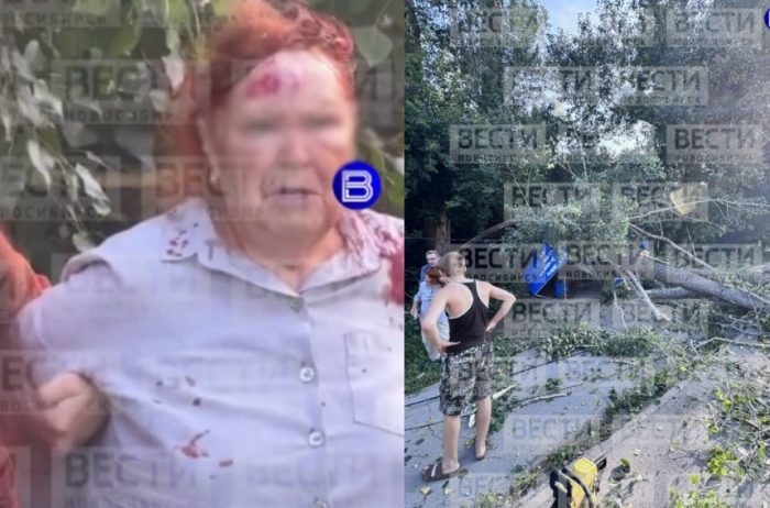 Фото "Вести Новосибирск".