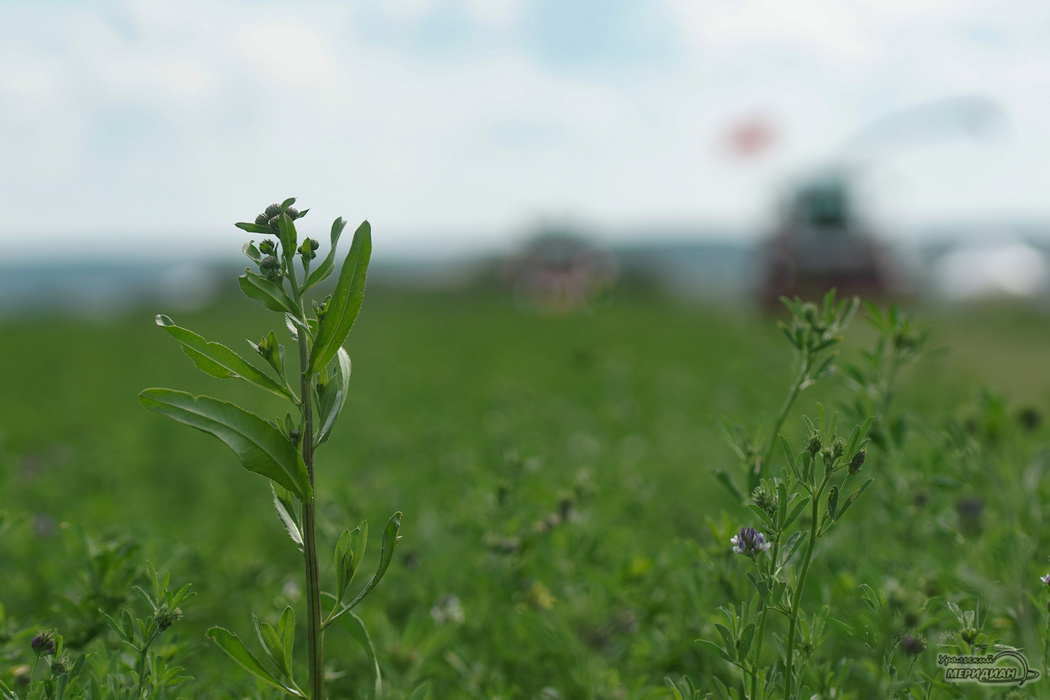    Фото: Лидия Аникина © ИА «Уральский меридиан»