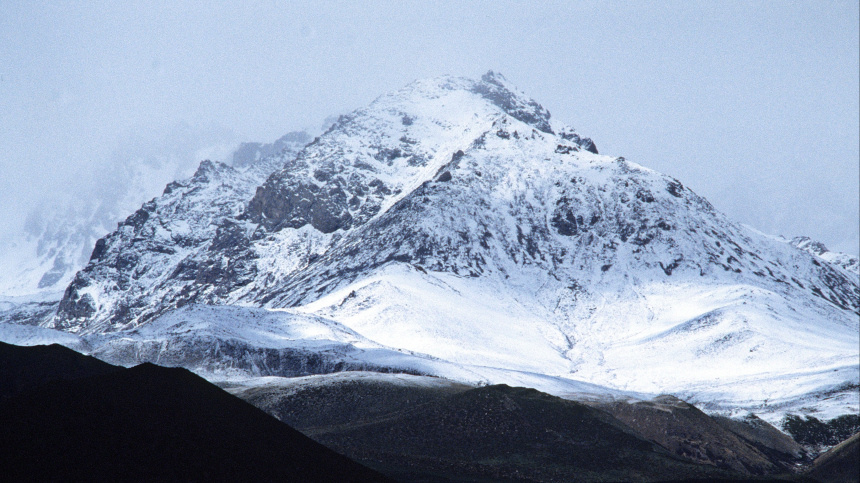    Фото: © РИА Новости/Борис Приходько; 5-tv.ru