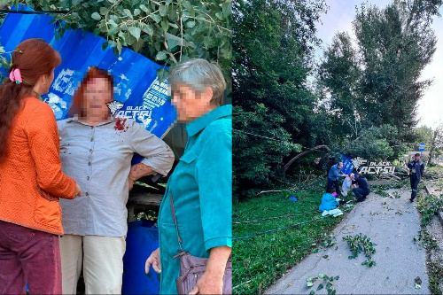    Фото и видео: АСТ-54