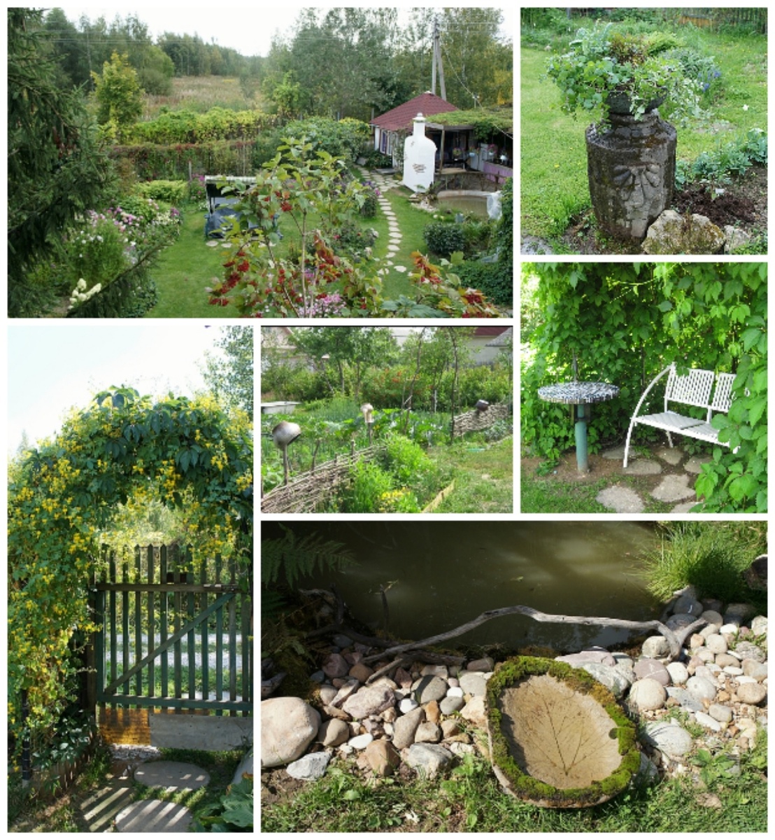 Автор - канал "Жизнь на даче"