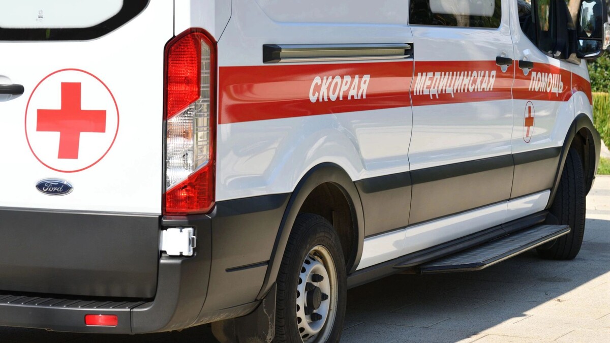    Фото: BestPhotoPlus/Shutterstock/Fotodom