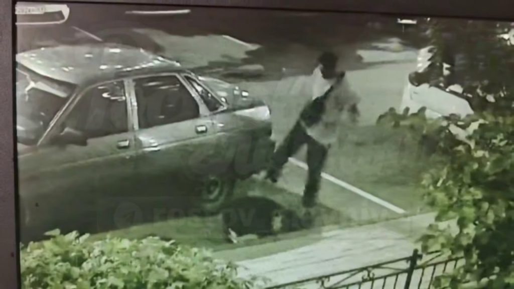 Фото: скриншот видео изщ соцсетей