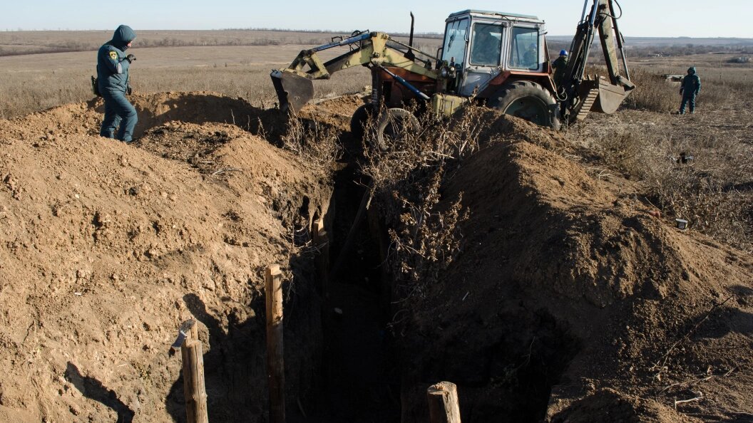    Alexander Rekun/Globallookpress