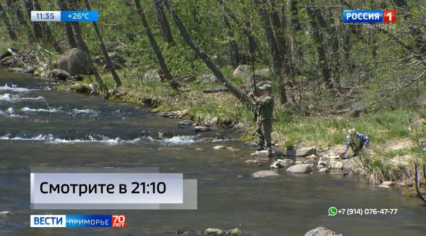    Источник фото: