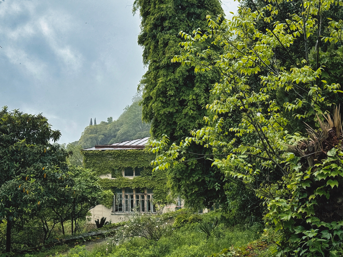 Фото автора