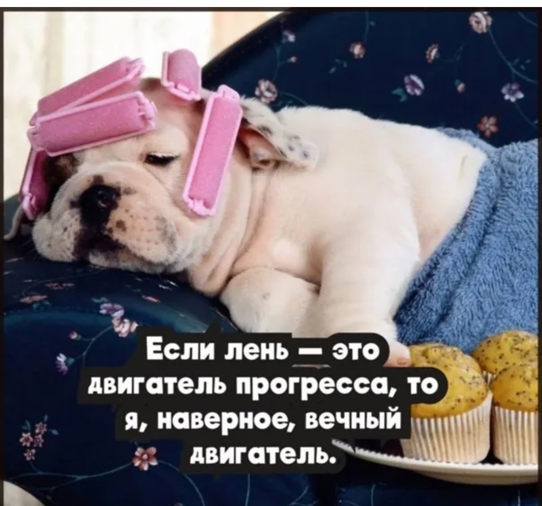 Из открытого доступа в интернете.