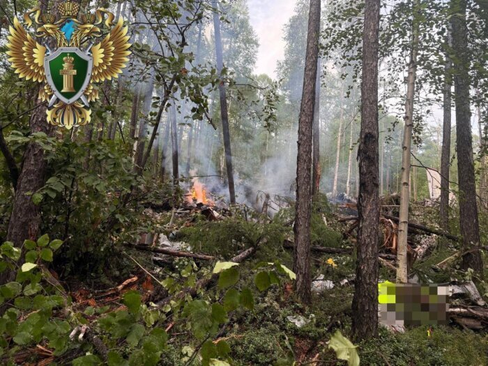 Место крушения Ан-24 в Амурской области / фото: сайт Дальневосточной транспортной прокуратуры 