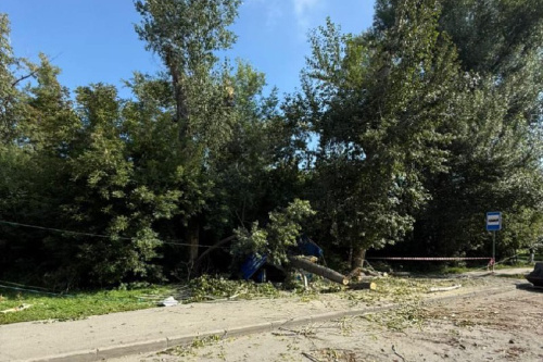    Фото: СК НСО