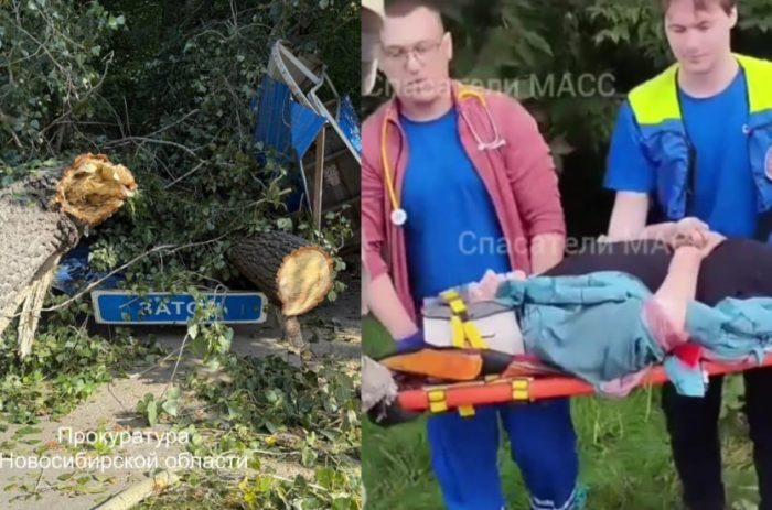 Фото "Спасатели МАСС" и "Прокуратура НСО".