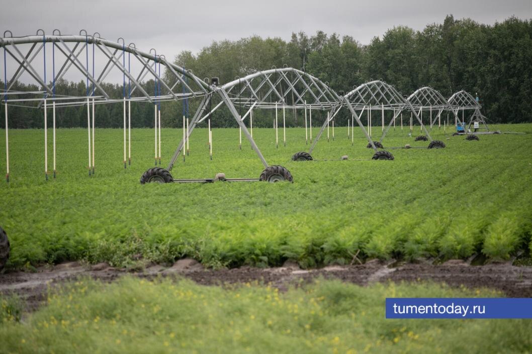  Фото Сергея Куликова