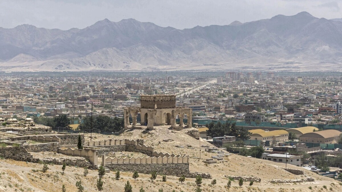    Фото: Torsten Pursche/Shutterstock/Fotodom