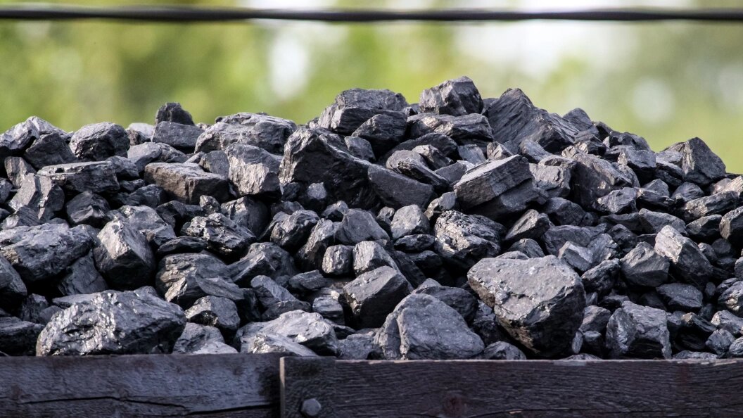    Фото: Aleksander Polyakov/Globallookpress