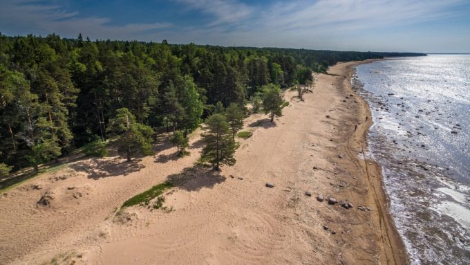 Фото из сети. Источник - https://ecopeterburg.ru/