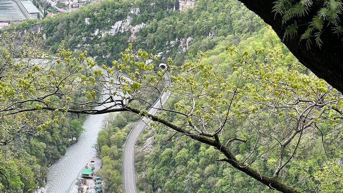    Фото: телеканал «Краснодар»