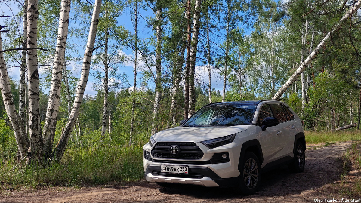 
TOYOTA RAV4 © deletant