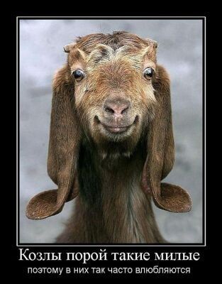 Со стороны виднее же ))