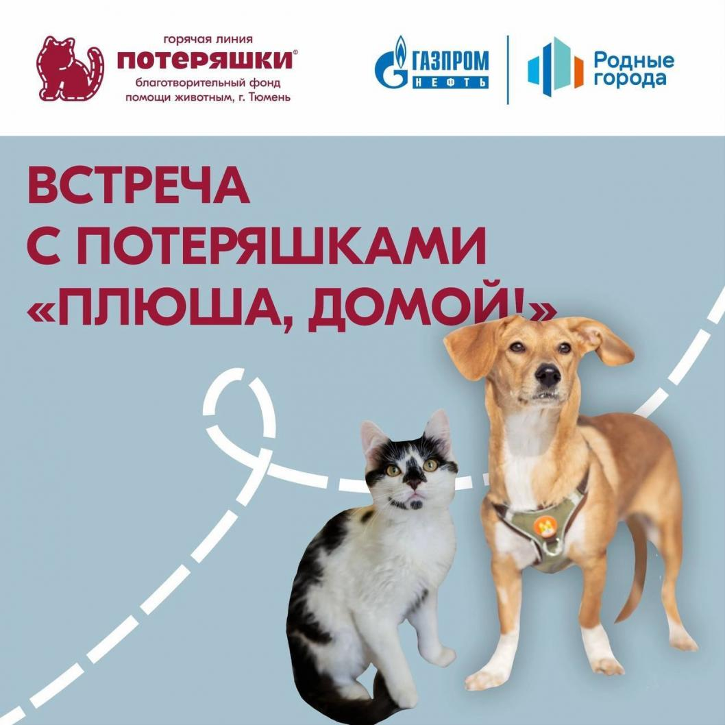 фото Ирина Михайлова