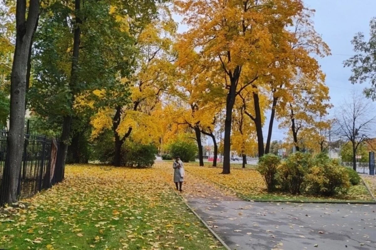    Ждать жары и заморозков?