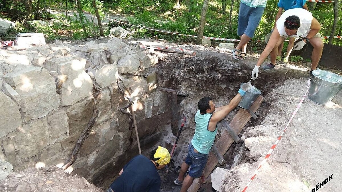    Фото: t.me/vdcorlyonok