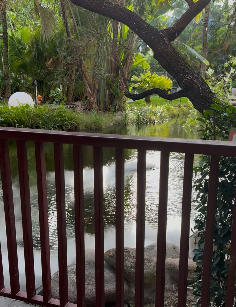 Вход в термы