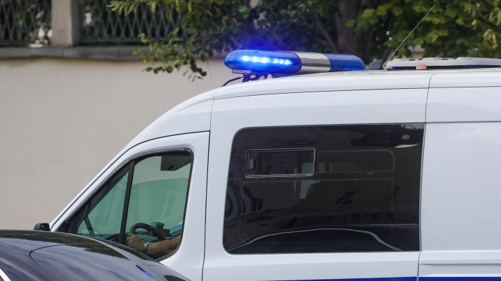 Фото: Shatokhina Natalia/Globallookpress